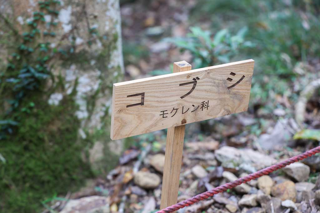 製作事例 樹名板 樹木看板 ツバキラボ