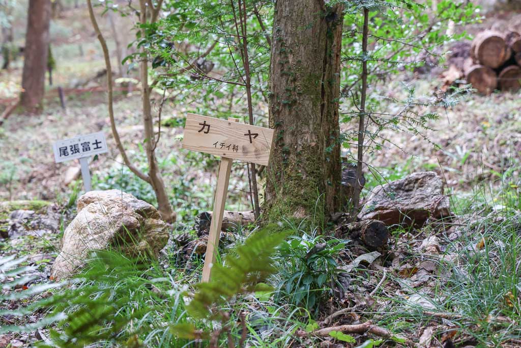 製作事例 樹名板 樹木看板 ツバキラボ